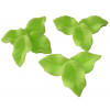 Listki cukrowe liście dekoracja tort zielony 10x